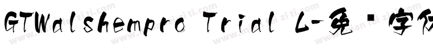 GTWalshempro Trial L字体转换